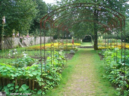 6830_Potager
