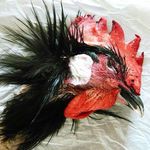 coq