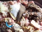 TERRINE_POULET3