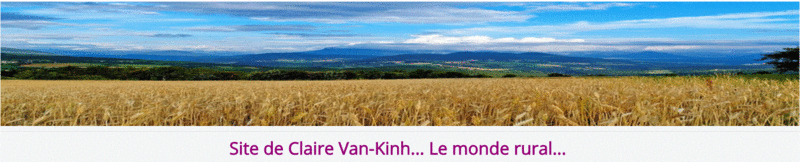 CLAIRE VAN-KINH - SITE DE L'AUTEUR