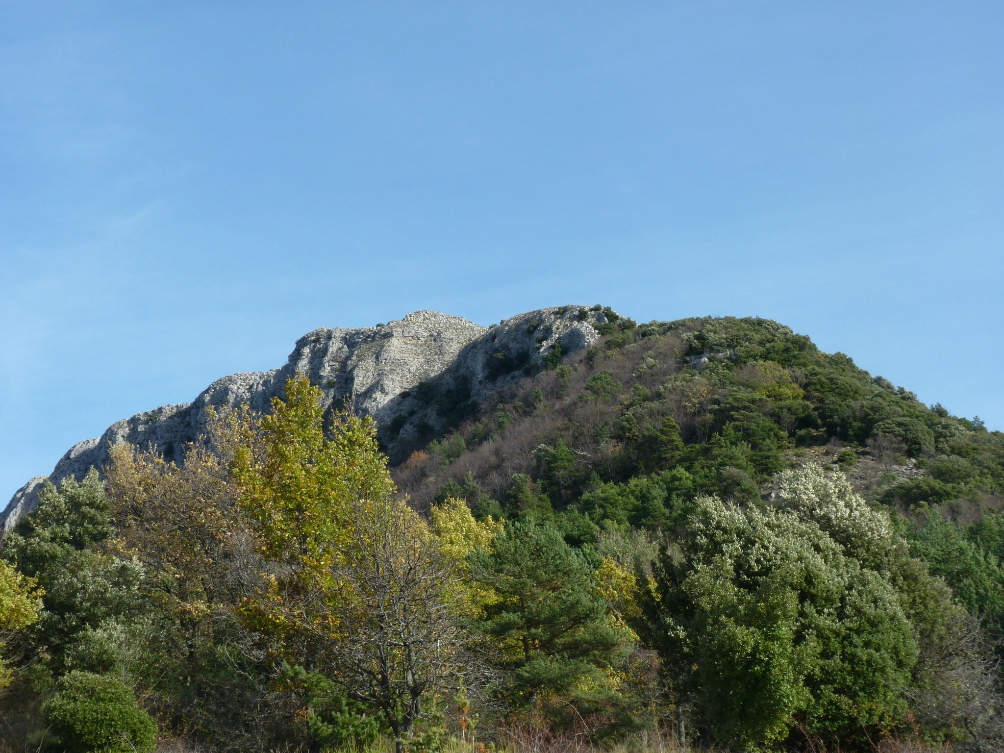 P1080443