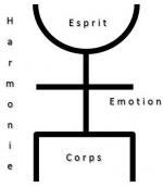 photo-6