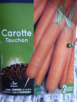 9-carottes-graines