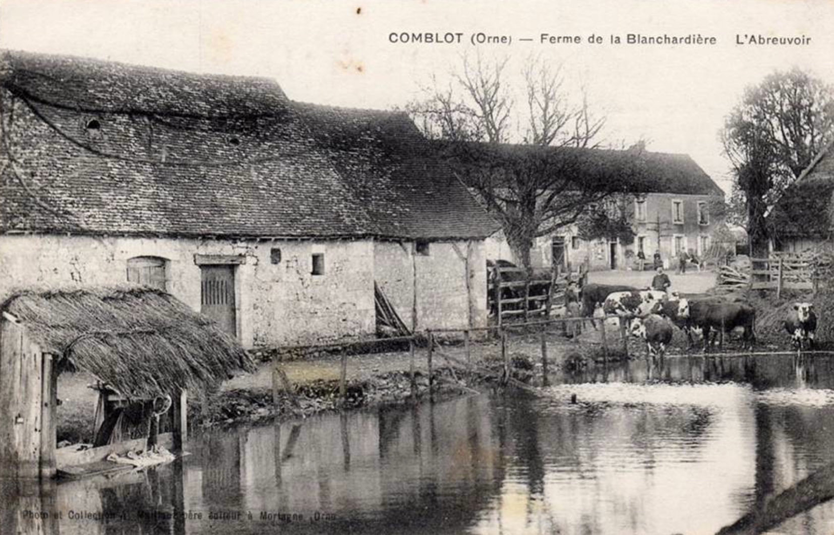Comblot Blanchardière2