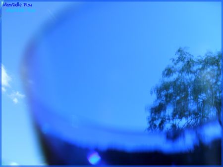 L_arbre_bleu