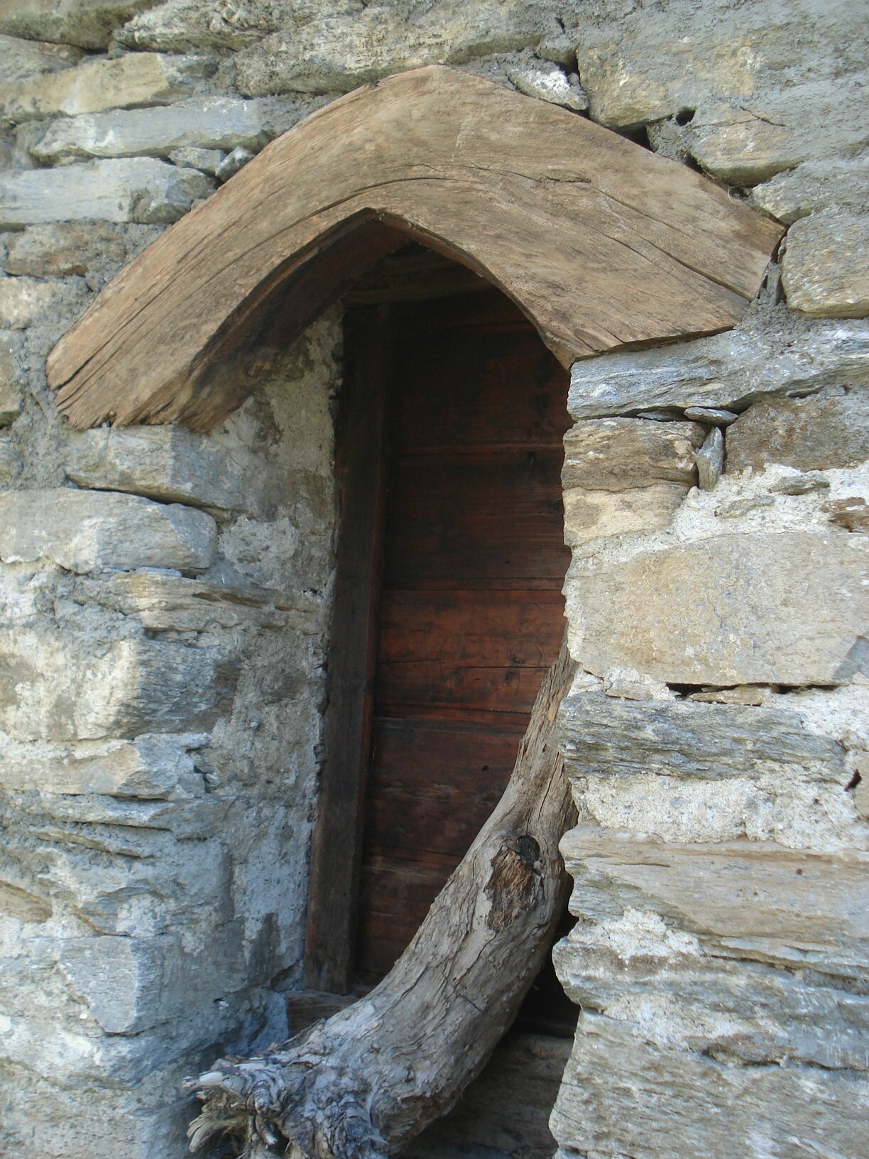 DSC06006