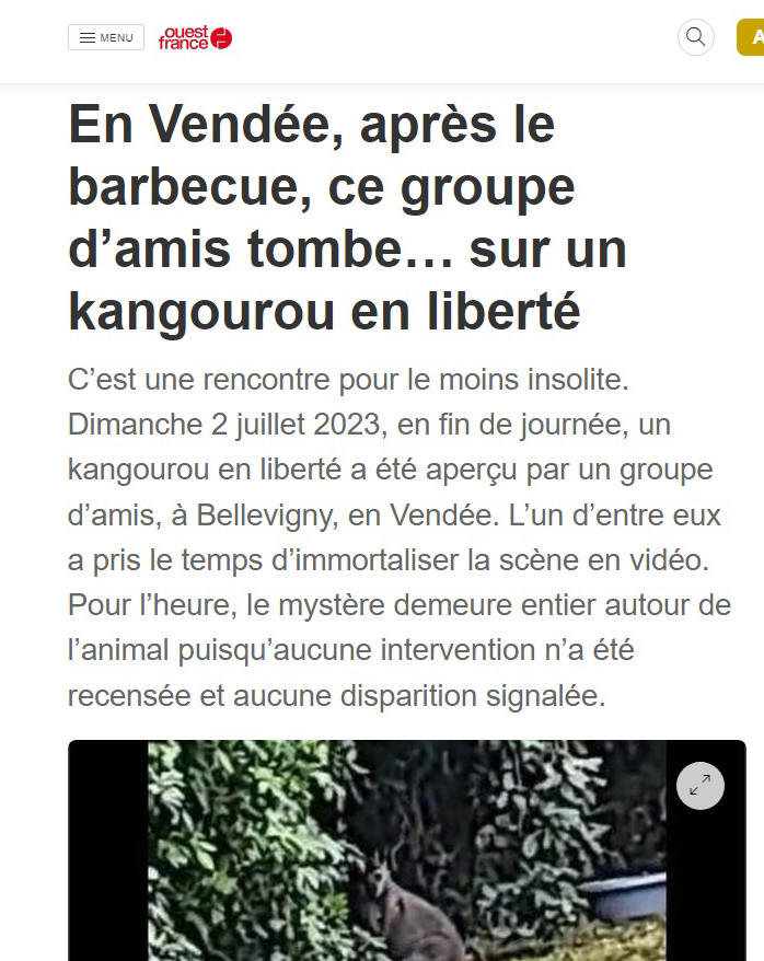 Invité surprise