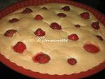 Gâteau aux blancs d'oeufs de mes poules et aux fraises du jardin 011