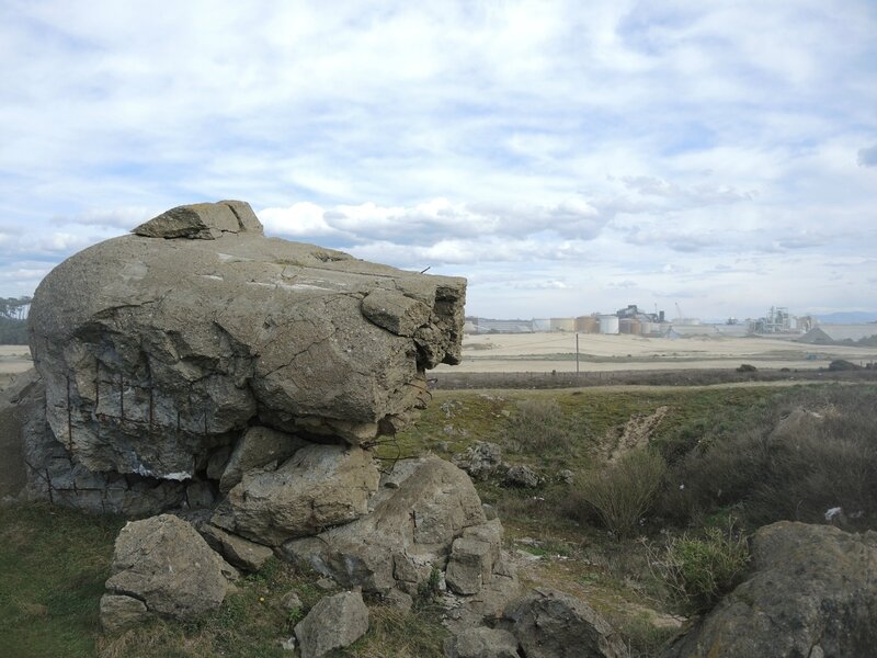 Tarnos, champ des blockhaus, épave nazi (40)