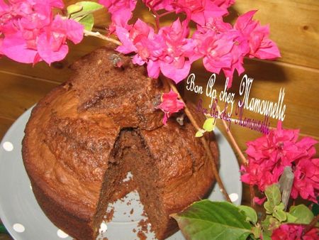 Gâteau moelleux chocolaté 012