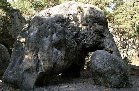fontai_ele