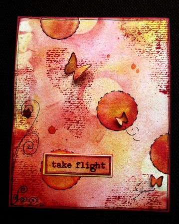 6 carte take flight bis