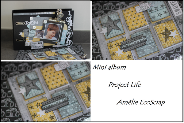 visuel mini album project life sains