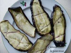 aubergines