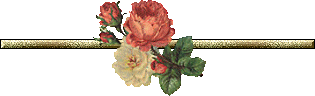barre_ligne__fleurs_pivoine
