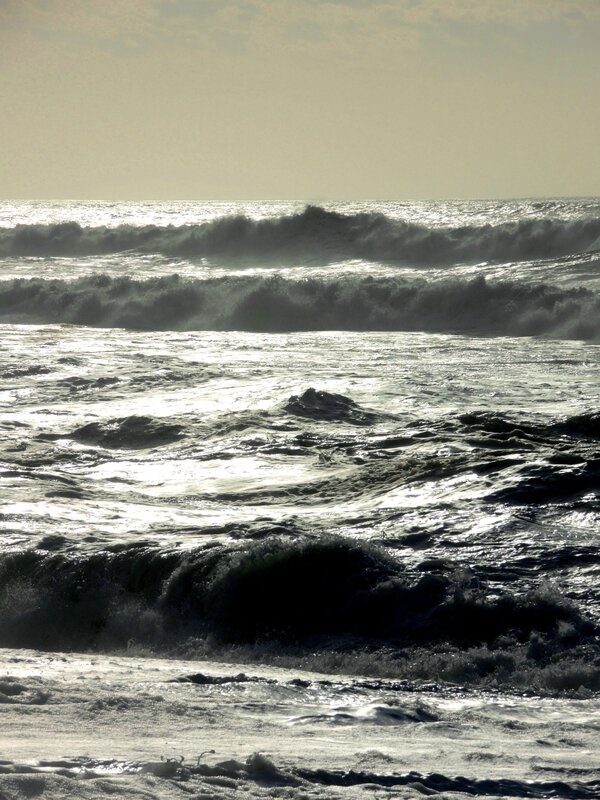 Anglet, plage des Cavaliers, océan, mars 2016 (64)