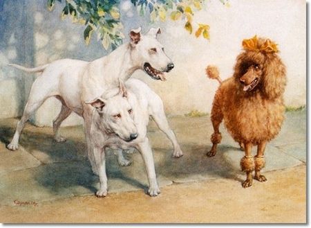 christopher-ambler-unwanted-attention-with-french-poodle-and-bull-terriers-watercolor