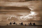 Camel_Train_through_the_Sahara_Desert___Dan_Heller