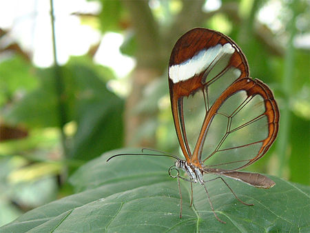 image002