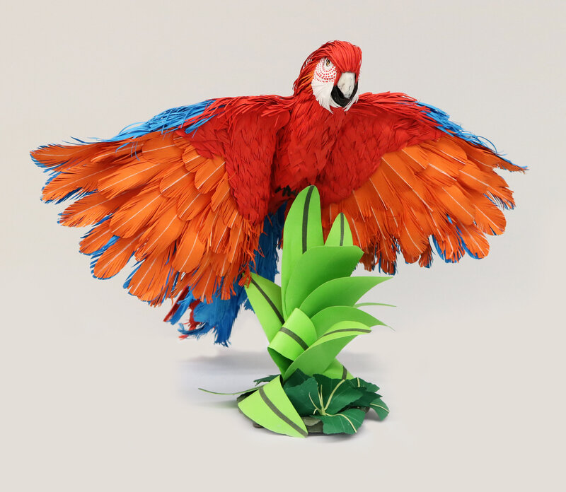 Ara le merveilleux perroquet par Claude Lafortunee