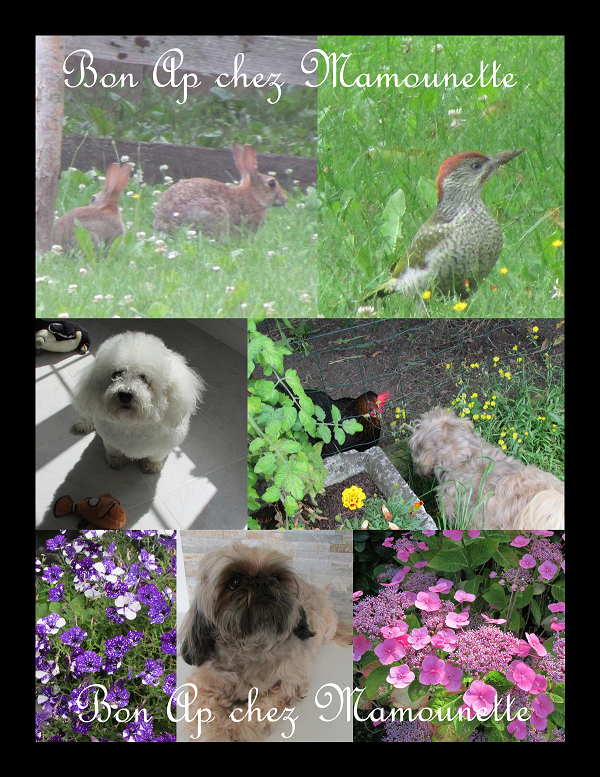 chez Mamounette et les animaux