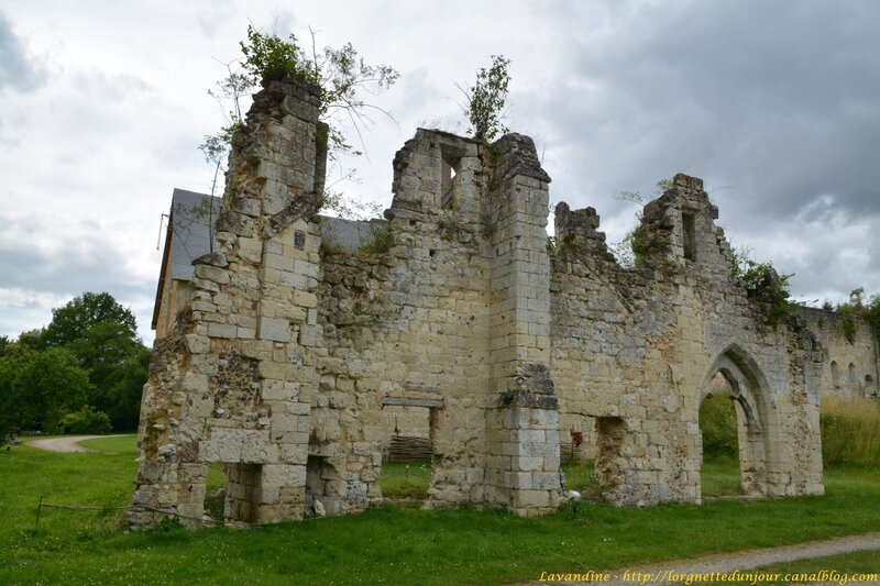 4 abbaye mortemer (31)