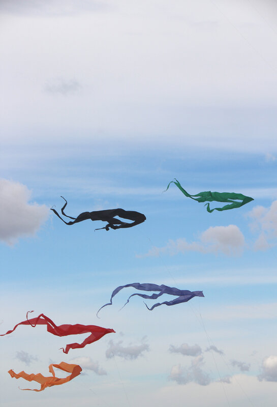 eole_cerf_volants
