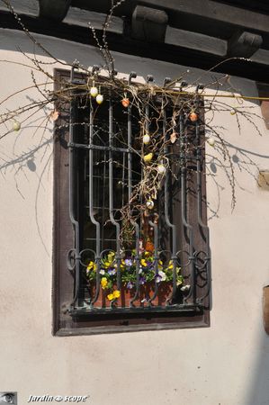 Arbre-de-Pâques-Colmar