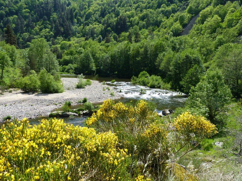 P1080967