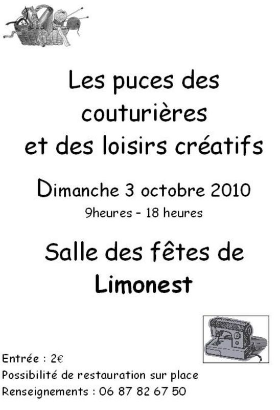 puces_Limonest_2010