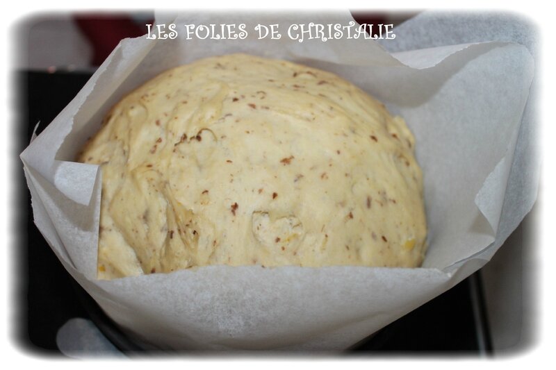Panettone 11