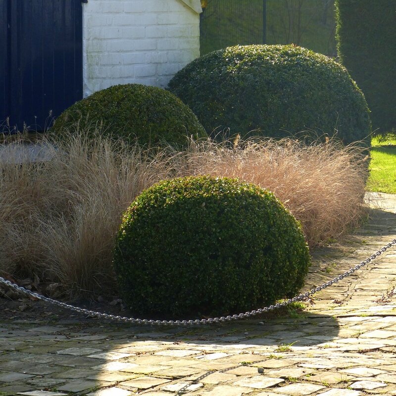 aaaa lundi 13 fevrier10