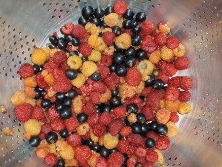 recette_sucr_e_confiture_gros_fracas_1_cueillette