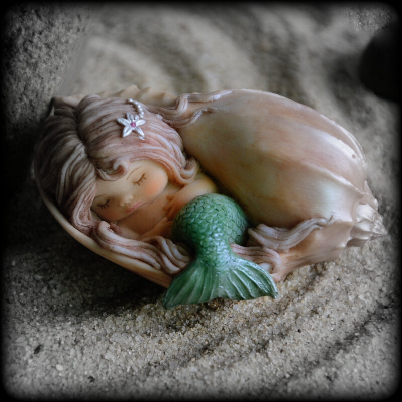 sommeil coquillage