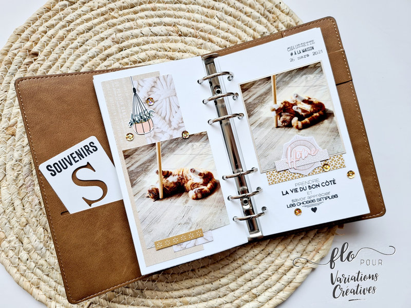 Traveler Notebook (1)