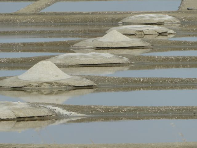 0 61