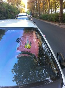 Barbapapa_au_volant