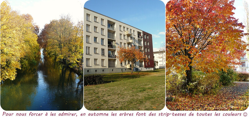 Quartier Drouot - Automne