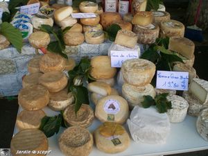 Fromages corses au marché d'Ajaccio