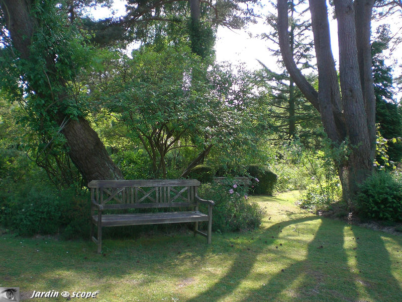 Arboretum des Grandes Bruyères  - 45 - Ingrannes
