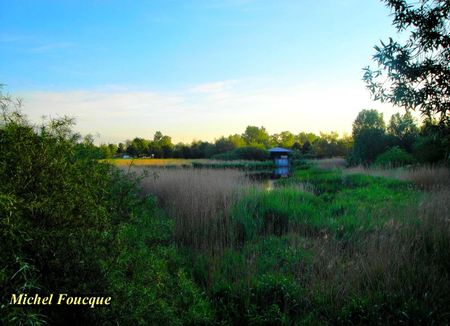 8) lac des mouilles