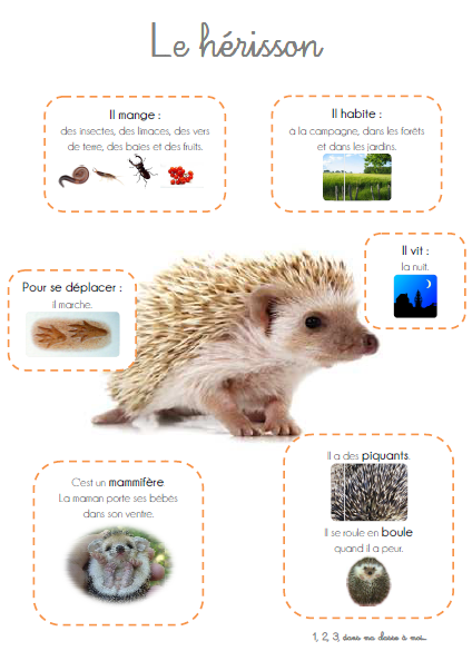 Windows-Live-Writer/Une-squence-Le-Nol-du-hrisson_E182/image_14