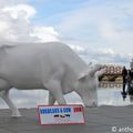 Soyez vache avec la <b>Cow</b> <b>Parade</b> à Bordeaux du 7 juin au 14 septembre 2010