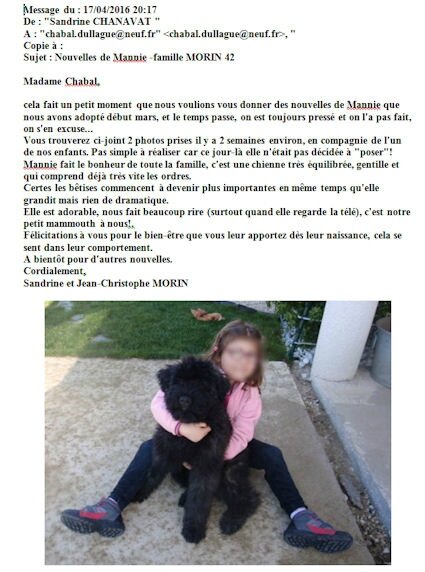 d'excellentes nouvelles de MANNIE de la DULLAGUE ...chez le DCT VETERINAIRE CH.MORIN 