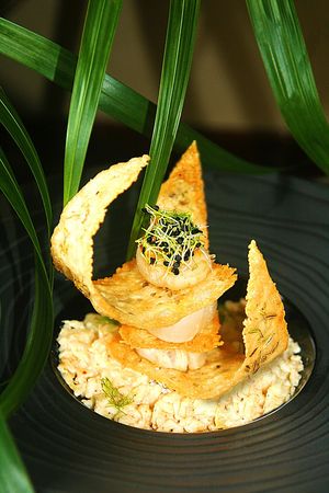 Envolée de Saint Jacques sur risotto au fenouil recettes Envolée de Saint Jacques sur risotto au fenouil