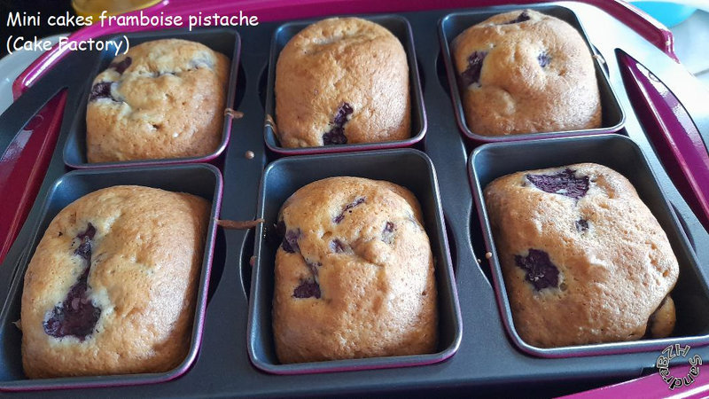 0126 Mini cakes framboise pistache CF 1