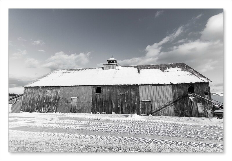 IMG_2618-1-3