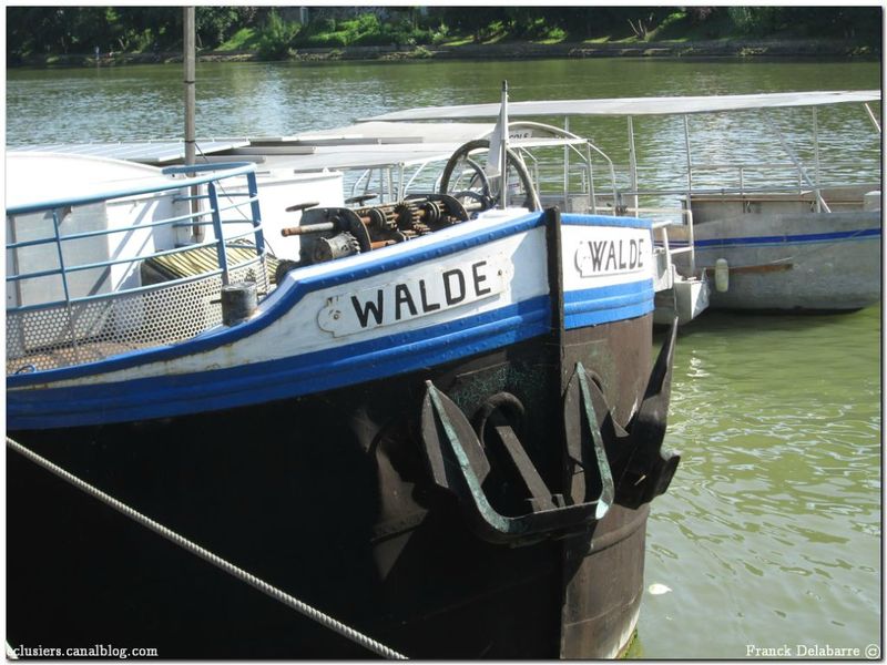 Walde 30062013008