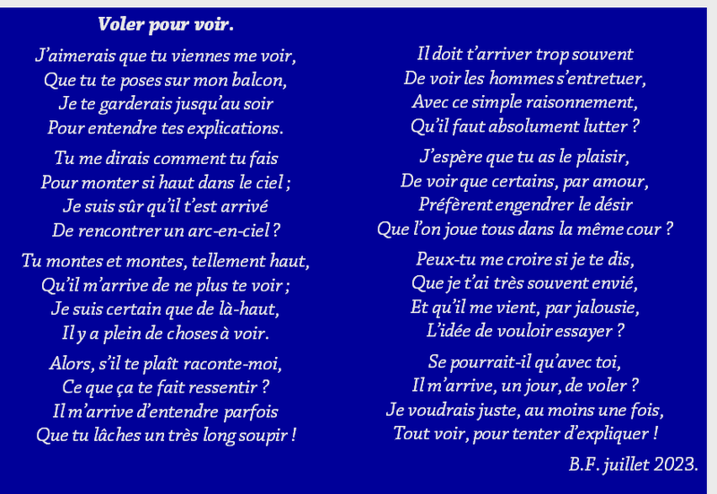 Voler pour voir m38