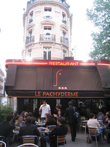 Pachyderme